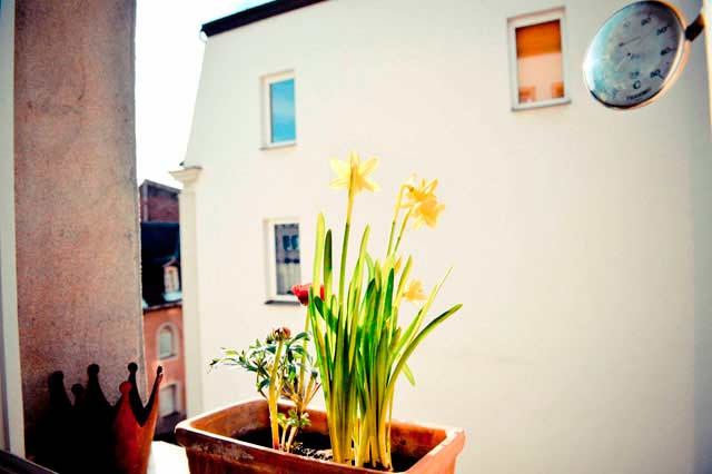 Der Frühling ist da.