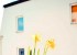 Der Frühling ist da! Der Frühling ist da!