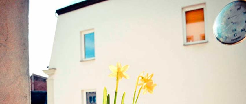 Der Frühling ist da!